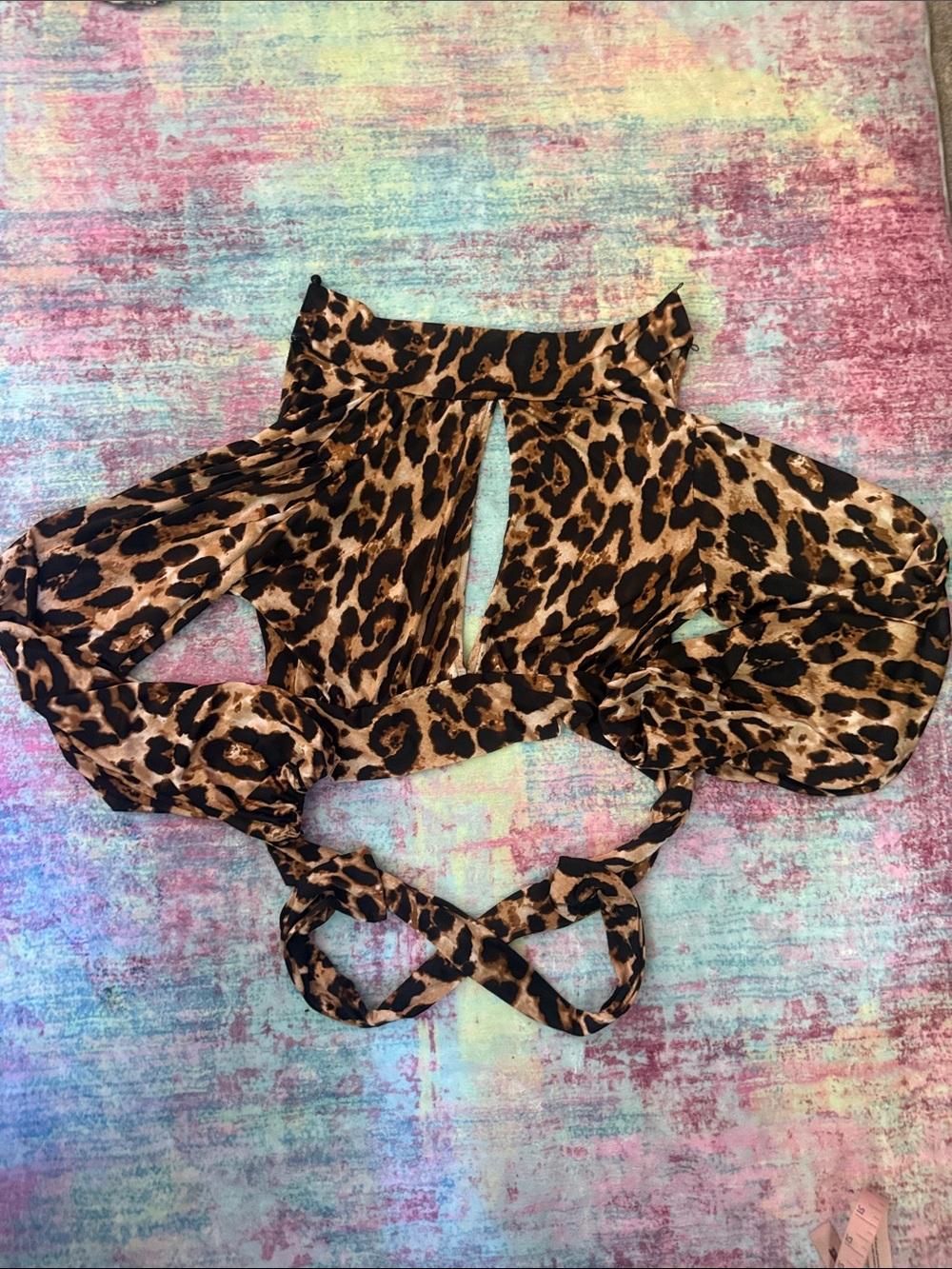 Windsor Brown and Black Leopard Off-Shoulder Tie-Front Crop Top